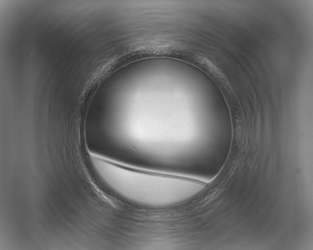 X0000056030493200508190956