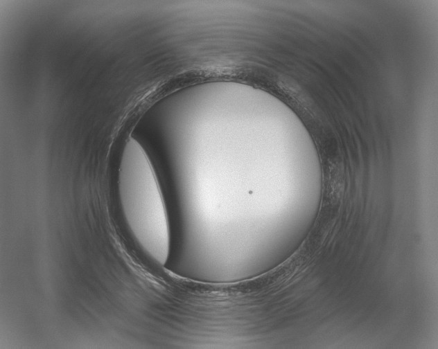 X0000056030494200508190956