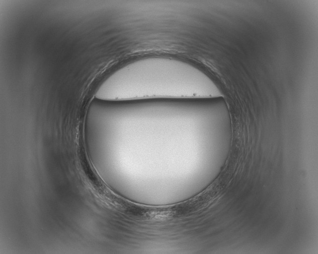 X0000056030495200508190956