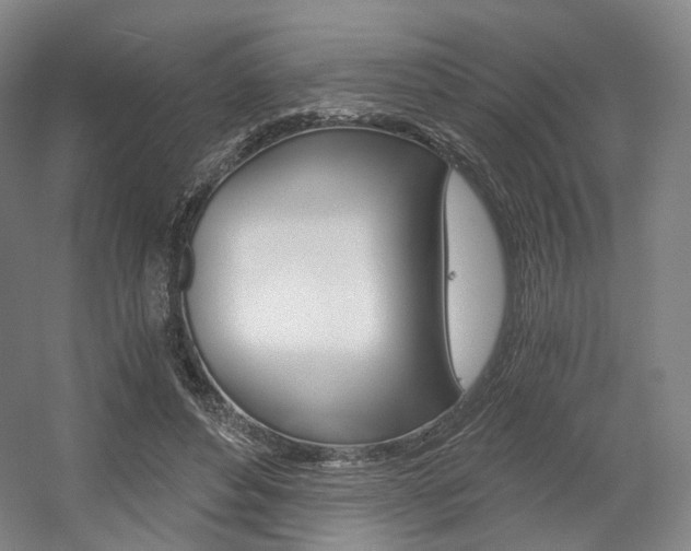 X0000056030496200508190956