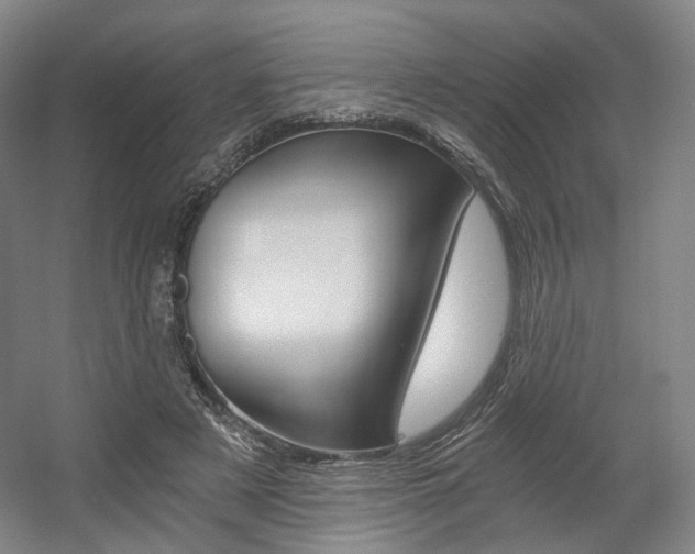 X0000056030497200508190956
