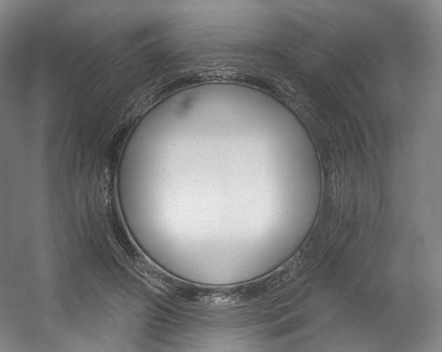 X0000056030498200508190956