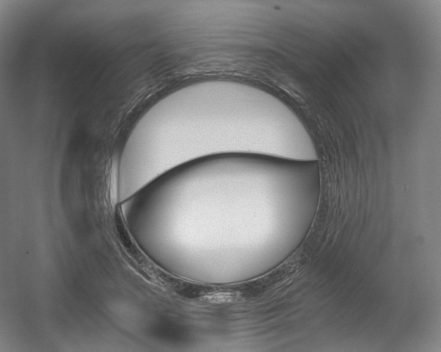 X0000056030499200508190956
