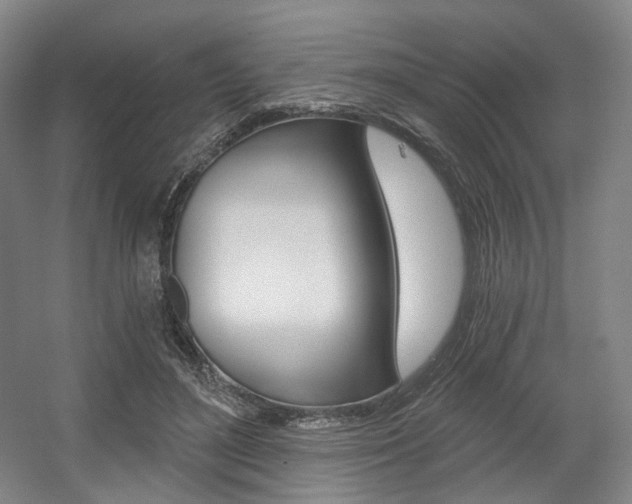 X0000056030500200508190956