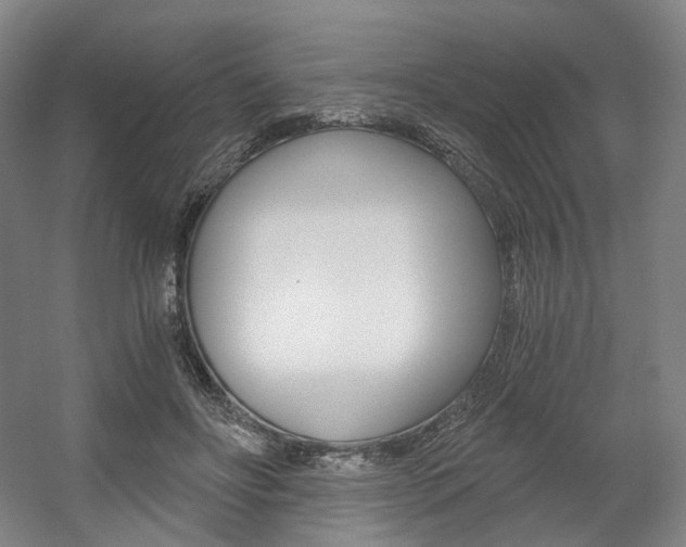 X0000056030502200508190956