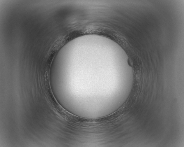 X0000056030503200508190956