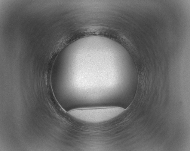 X0000056030504200508190956