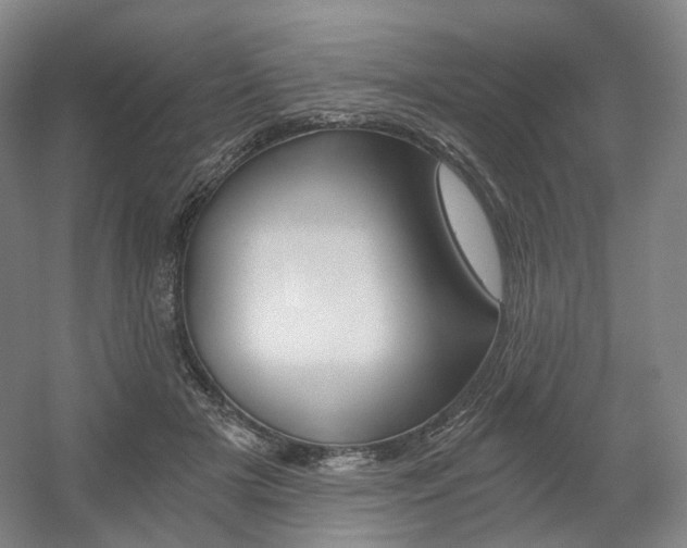 X0000056030505200508190956