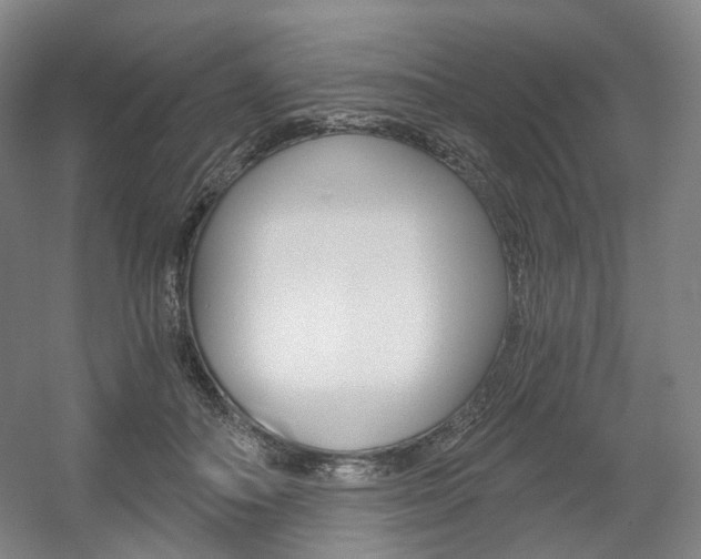 X0000056030506200508190956