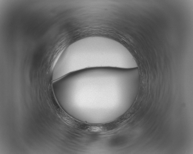 X0000056030507200508190956