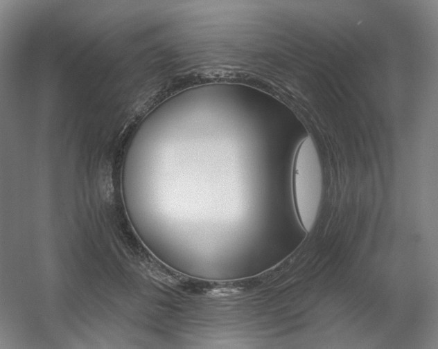 X0000056030508200508190956