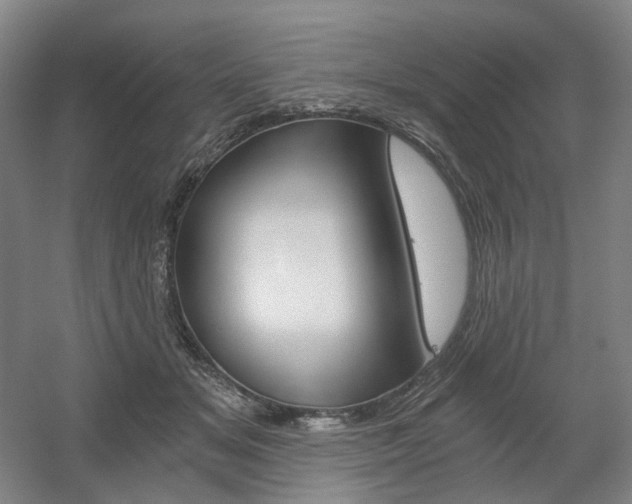 X0000056030509200508190956