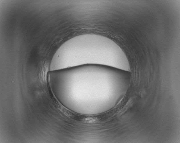 X0000056030511200508190956