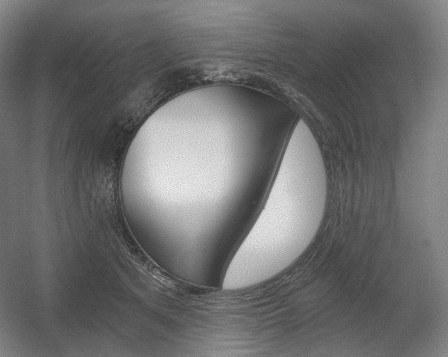 X0000056030513200508190956