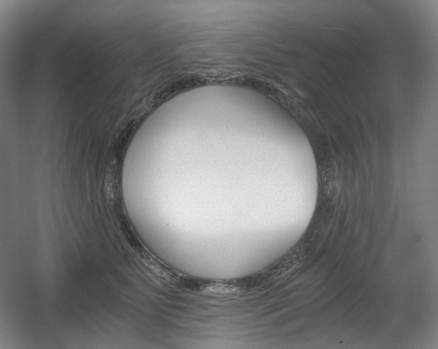 X0000056030515200508190956