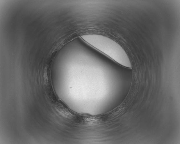 X0000056030516200508190955