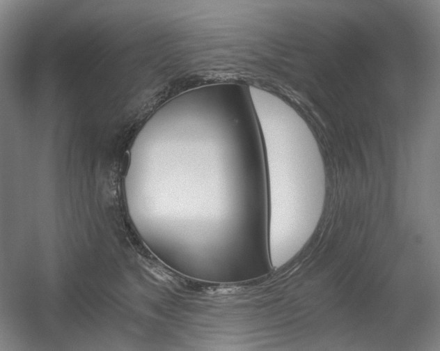X0000056030517200508190955