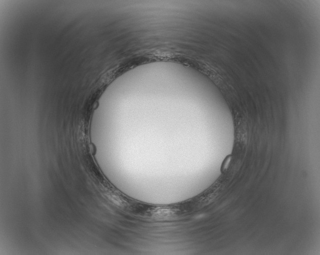 X0000056030518200508190955