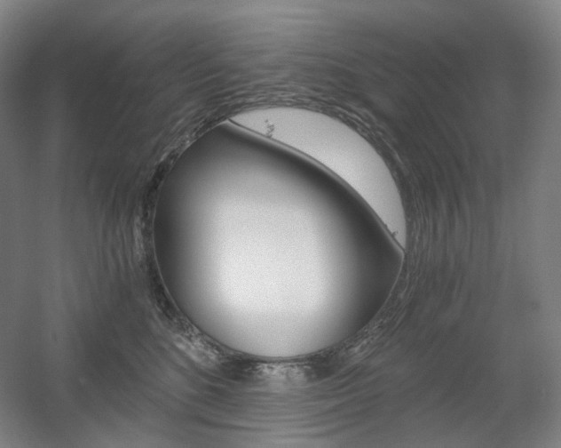 X0000056030520200508190955