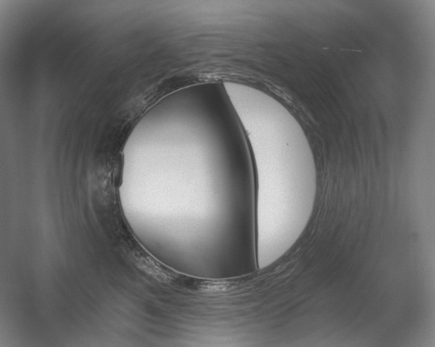 X0000056030521200508190955