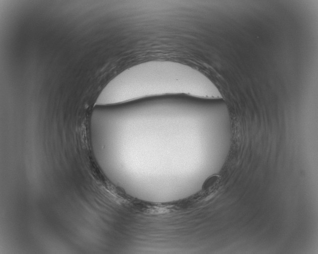 X0000056030523200508190955