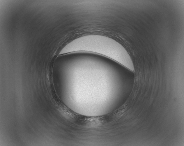 X0000056030524200508190955