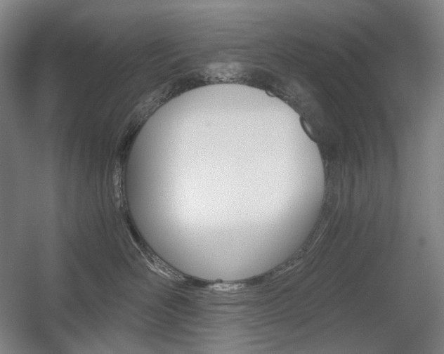X0000056030526200508190955