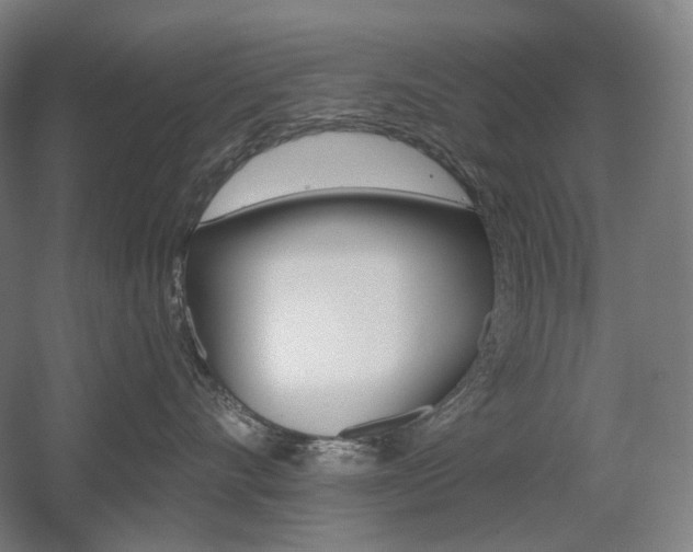 X0000056030528200508190955