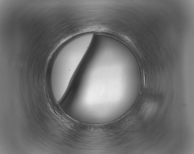 X0000056030531200508190955