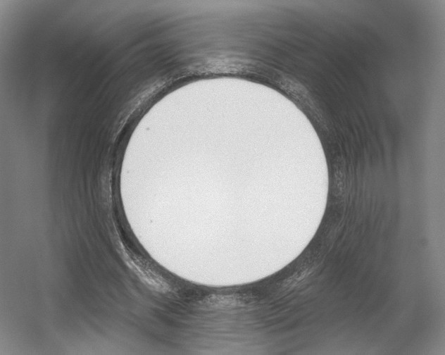 X0000056030534200508190955