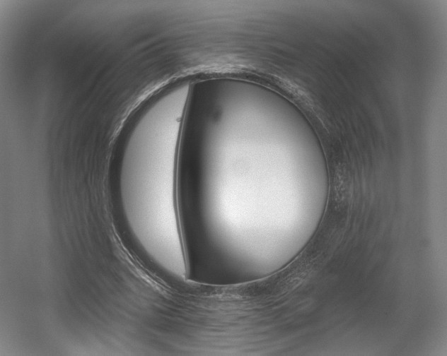 X0000056030535200508190955