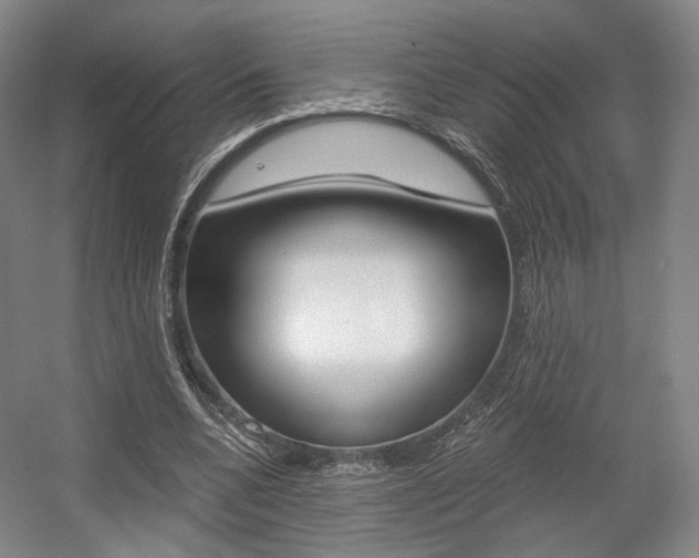 X0000056030536200508190955