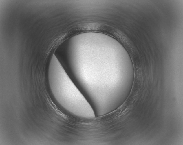 X0000056030537200508190955