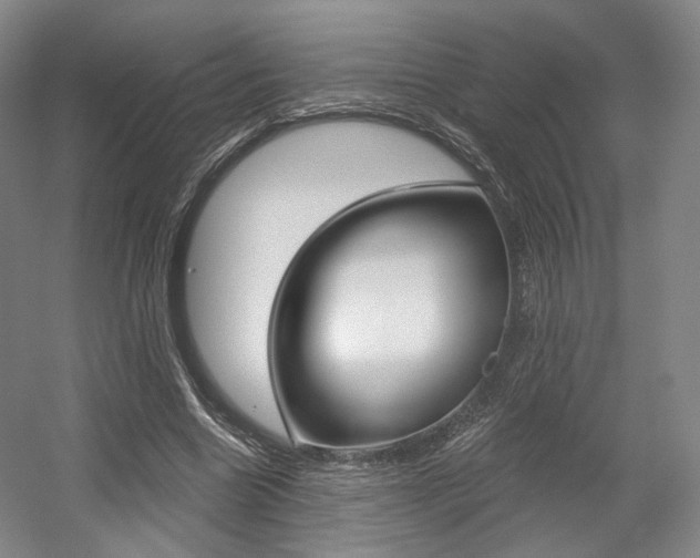 X0000056030538200508190955