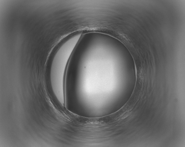 X0000056030540200508190955