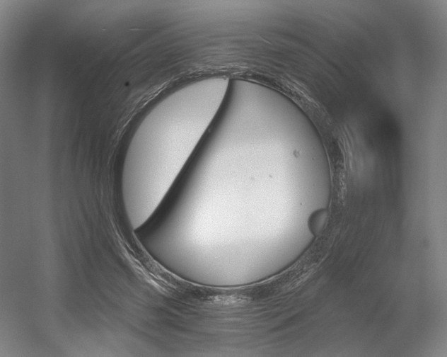 X0000056030541200508190955