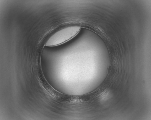 X0000056030543200508190955