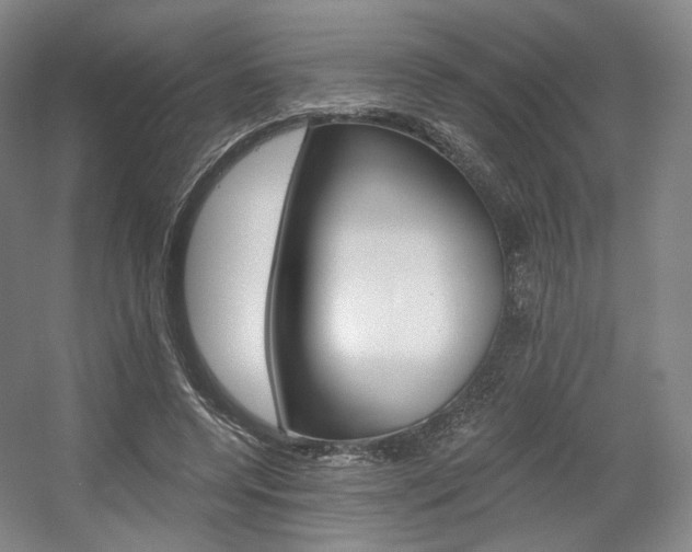 X0000056030544200508190955