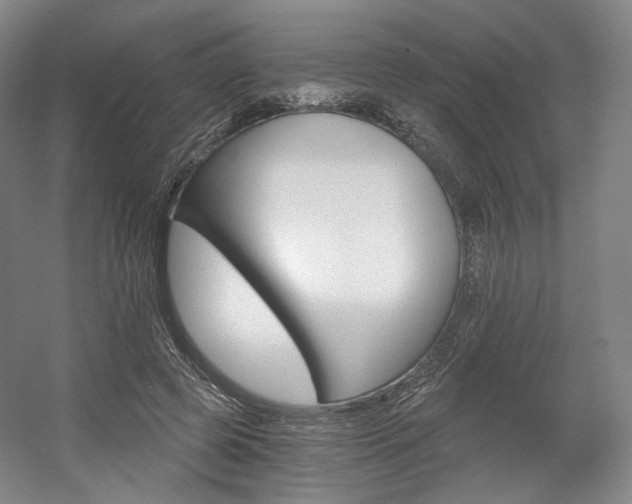 X0000056030545200508190955