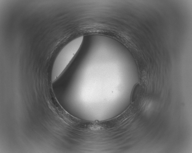 X0000056030547200508190955