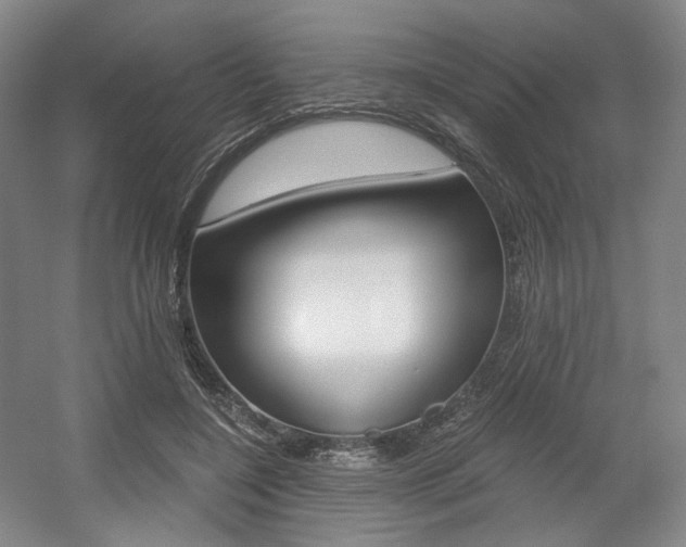 X0000056030548200508190955