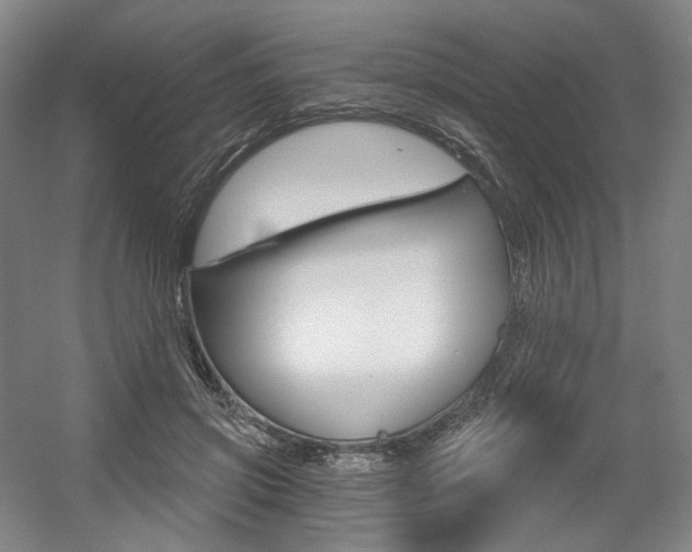X0000056030549200508190955