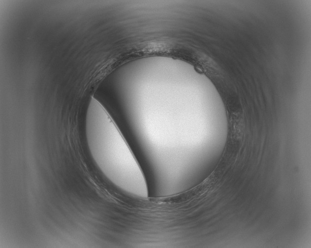 X0000056030550200508190955