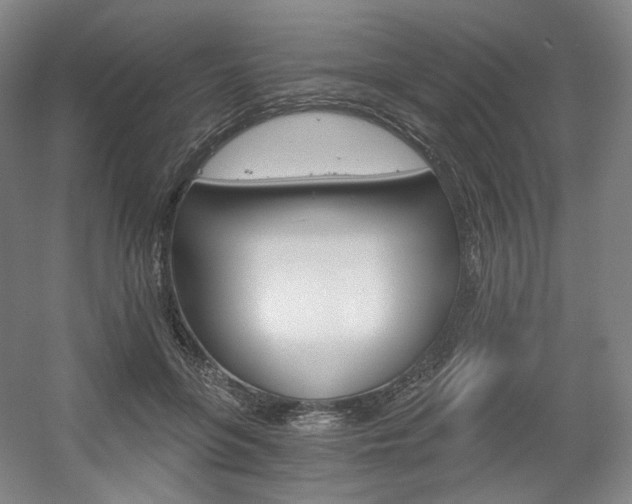 X0000056030551200508190955