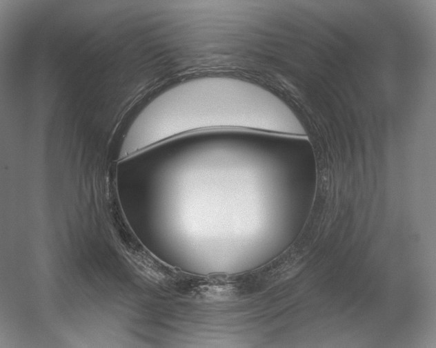 X0000056030552200508190955