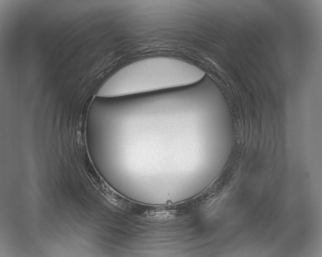 X0000056030553200508190955