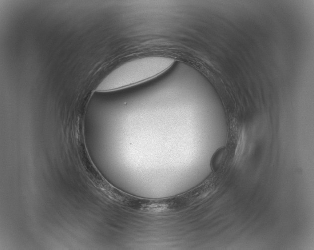 X0000056030554200508190955