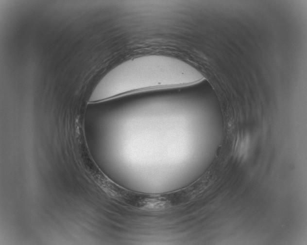 X0000056030555200508190955