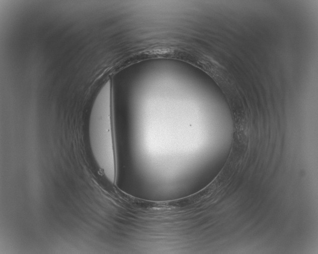 X0000056030556200508190955