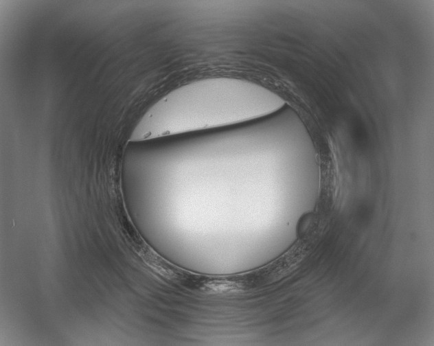 X0000056030557200508190955